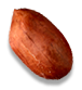 amendoin2